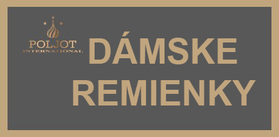 D�MSKE REMIENKY