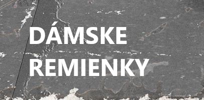 DMSKE REMIENKY