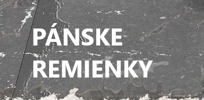 PNSKE REMIENKY